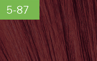 Essensity Haarfarbe, 60 ml